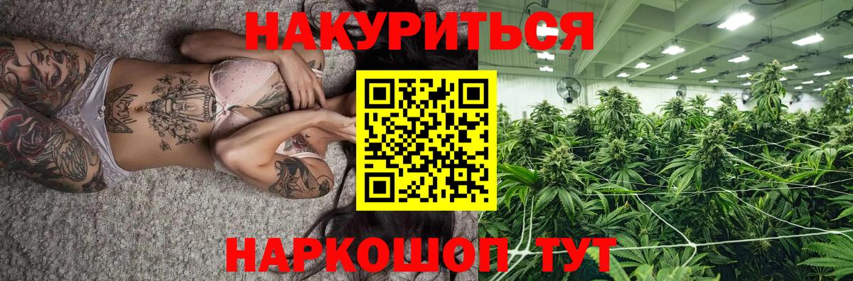 Марихуана план  МАРИХУАНА марихуана  Курчалой  Вход с VPN 